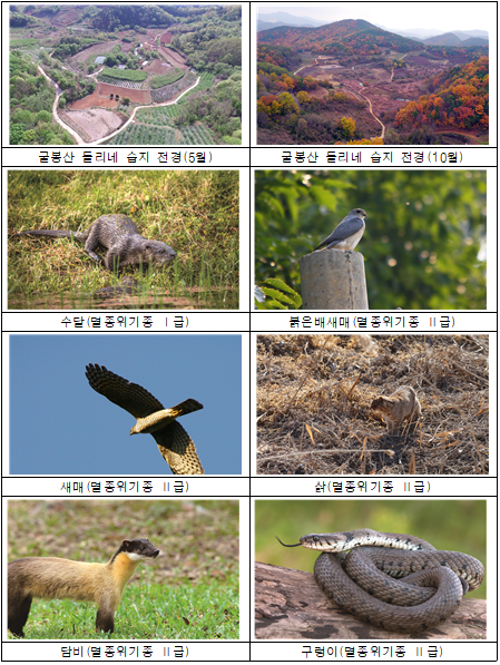 세계 습지의 날에 '문경 돌리네 습지', 국내 25번째 ‘람사르 습지’로 등록